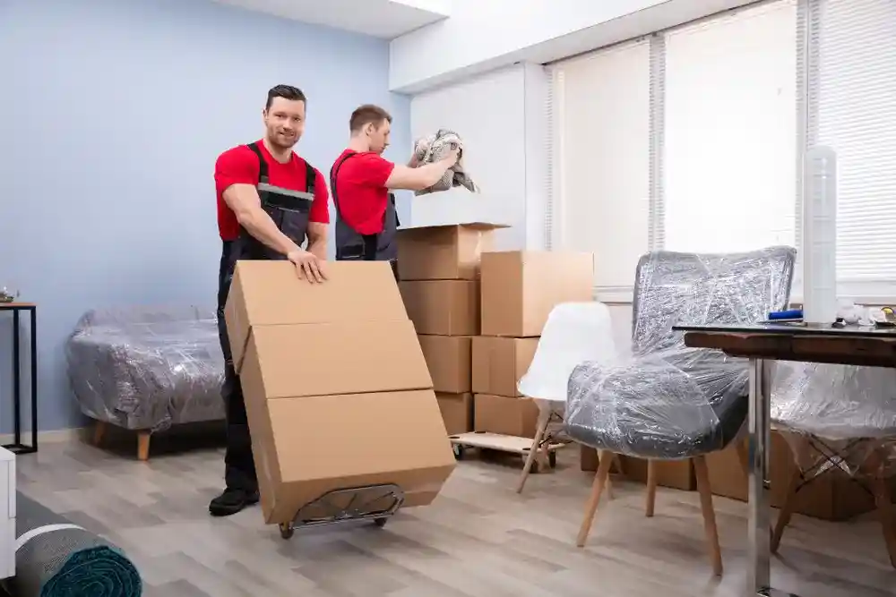 Our apartment movers in lauderhill fl crew movers carefully packing boxes for a seamless relocation.