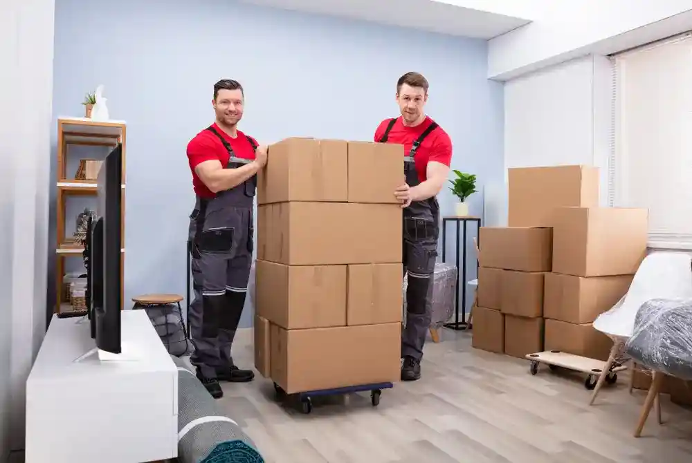 Top Moving Systems Lauderhill experts organizing boxes for efficient cross-state moving services.